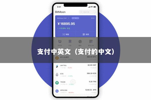 支付中英文(支付的中文)