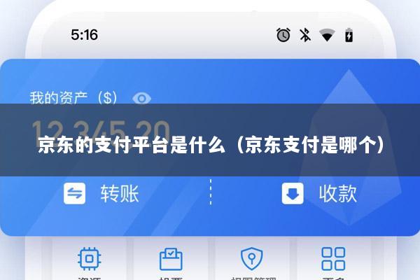 京东的支付平台是什么(京东支付是哪个)