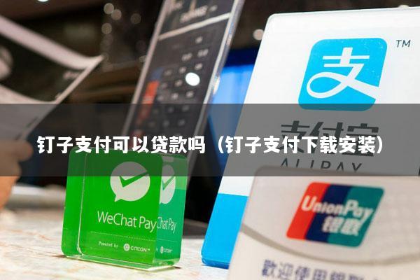 钉子支付可以贷款吗(钉子支付下载安装)