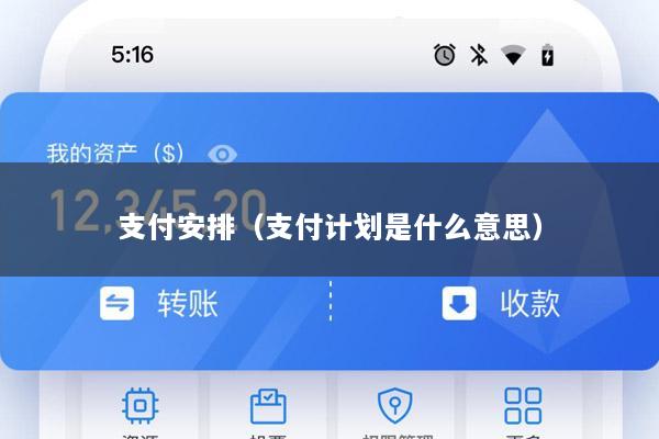 支付安排(支付计划是什么意思)