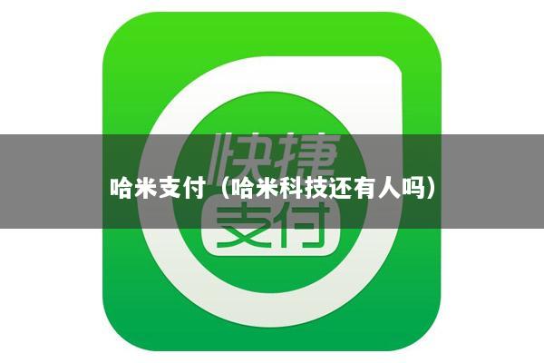 哈米支付(哈米科技还有人吗)