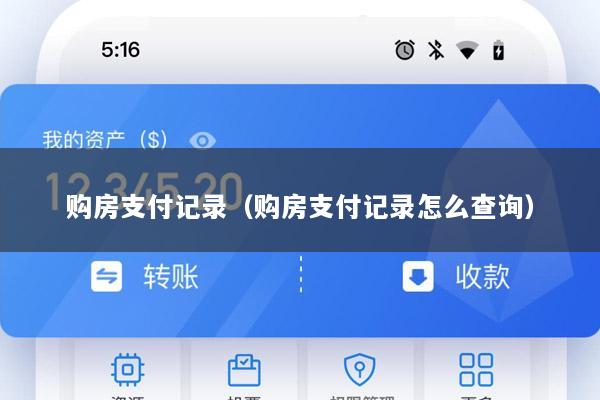 购房支付记录(购房支付记录怎么查询)