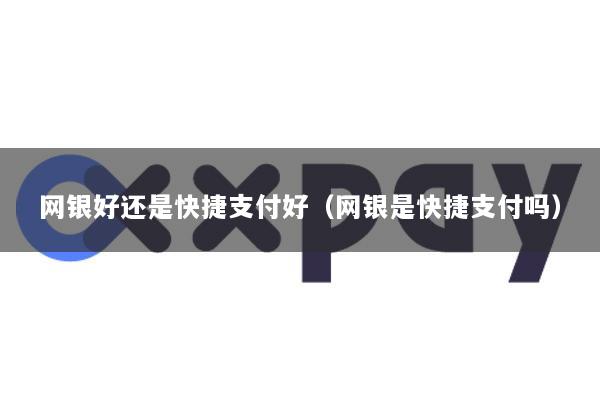 网银好还是快捷支付好(网银是快捷支付吗)