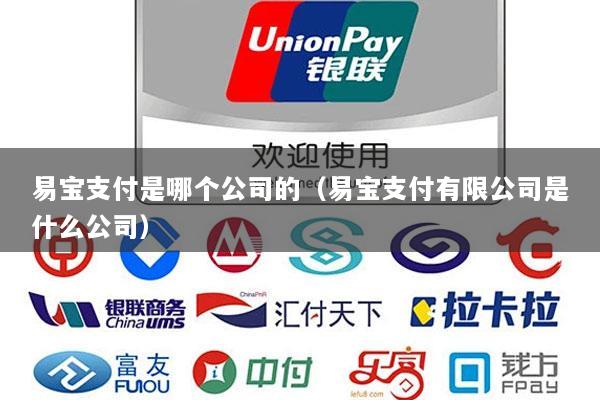 易宝支付是哪个公司的(易宝支付有限公司是什么公司)