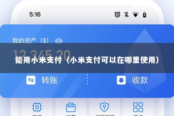能用小米支付(小米支付可以在哪里使用)