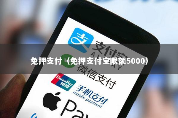 免押支付(免押支付宝限额5000)
