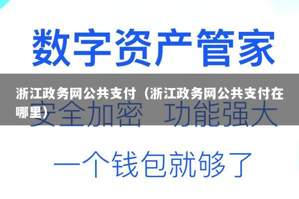浙江政务网公共支付(浙江政务网公共支付在哪里)