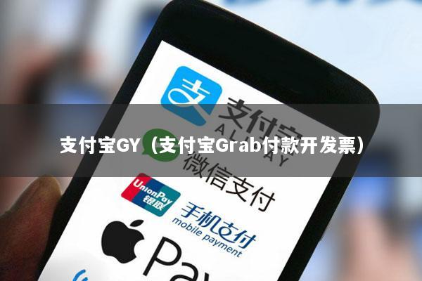 支付宝GY(支付宝Grab付款开发票)