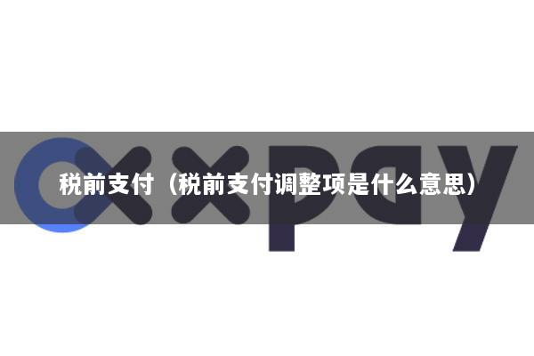税前支付(税前支付调整项是什么意思)