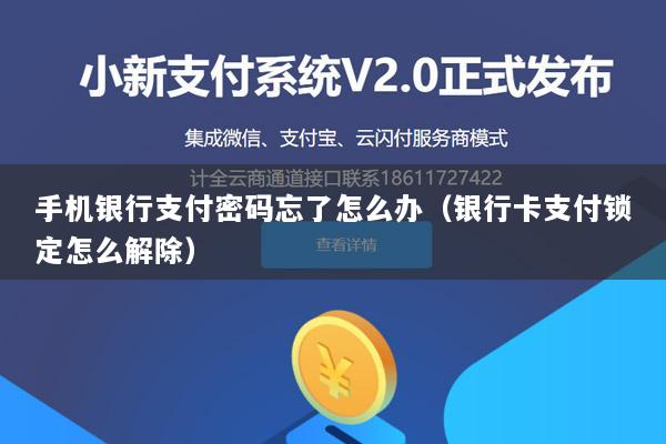 手机银行支付密码忘了怎么办(银行卡支付锁定怎么解除)