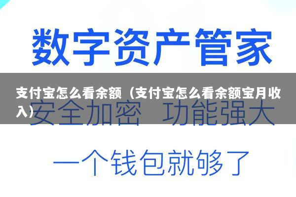 支付宝怎么看余额(支付宝怎么看余额宝月收入)