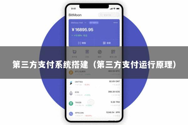 第三方支付系统搭建(第三方支付运行原理)