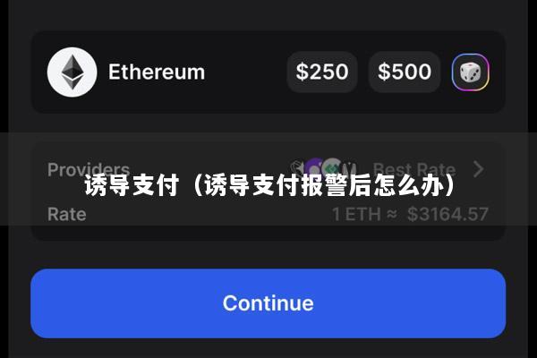 诱导支付(诱导支付报警后怎么办)