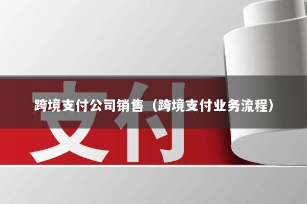 跨境支付公司销售(跨境支付业务流程)