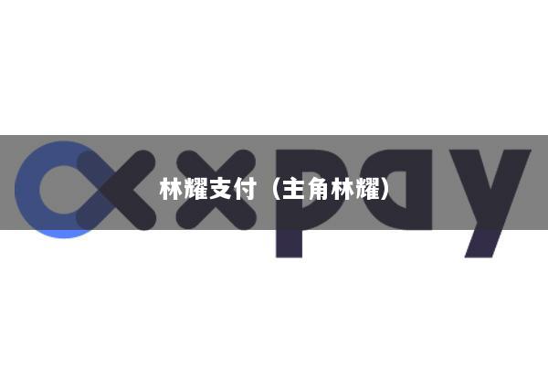 林耀支付(主角林耀)