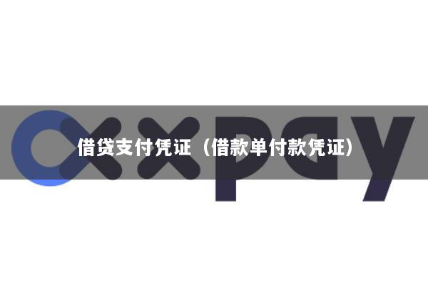 借贷支付凭证(借款单付款凭证)
