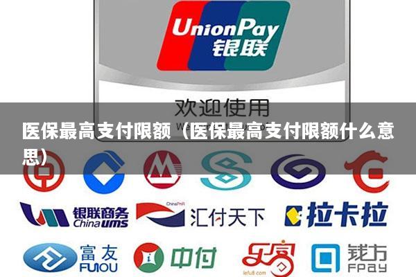 医保最高支付限额(医保最高支付限额什么意思)