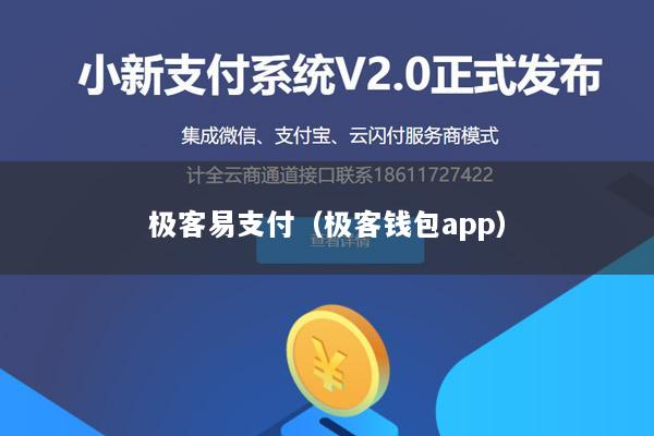 极客易支付(极客钱包app)
