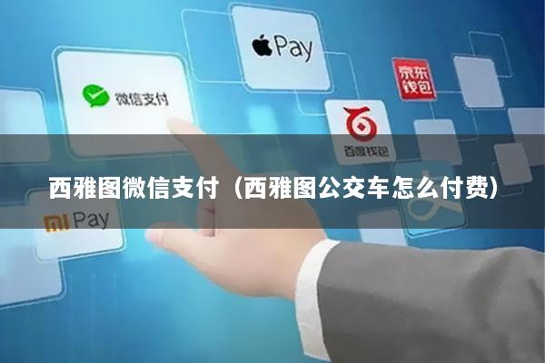 西雅图微信支付(西雅图公交车怎么付费)