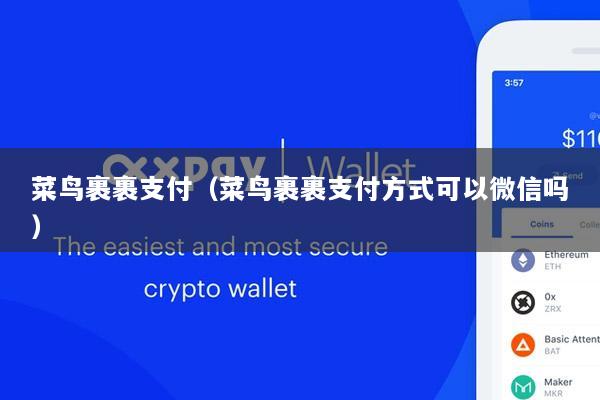 菜鸟裹裹支付(菜鸟裹裹支付方式可以微信吗)