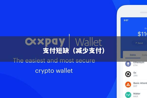 支付短缺(减少支付)