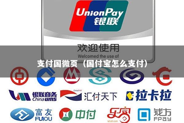 支付国微页(国付宝怎么支付)