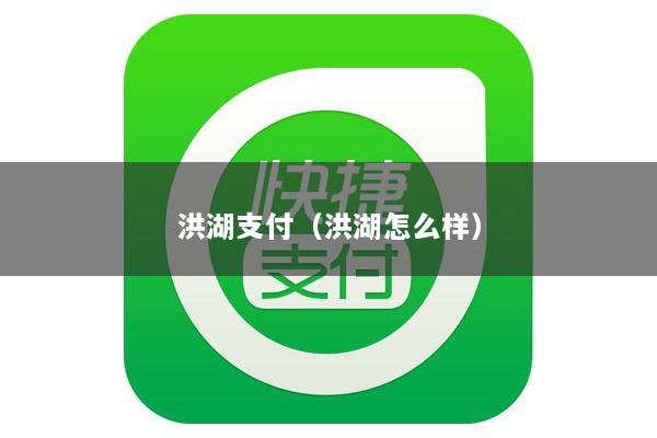 洪湖支付(洪湖怎么样)
