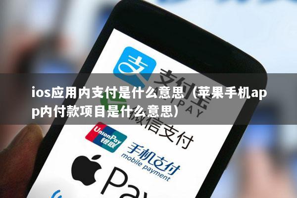 ios应用内支付是什么意思(苹果手机app内付款项目是什么意思)
