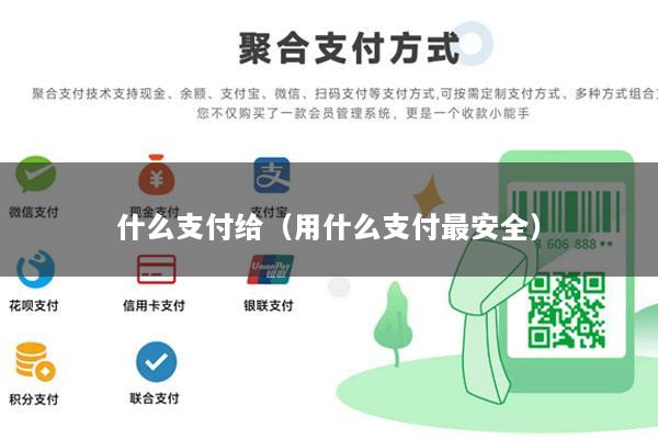 什么支付给(用什么支付最安全)