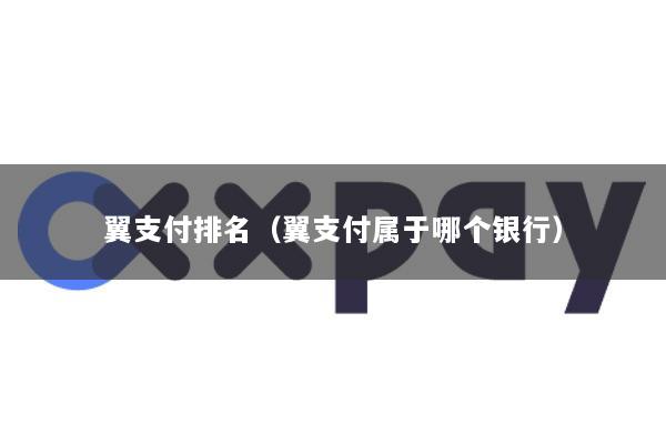 翼支付排名(翼支付属于哪个银行)