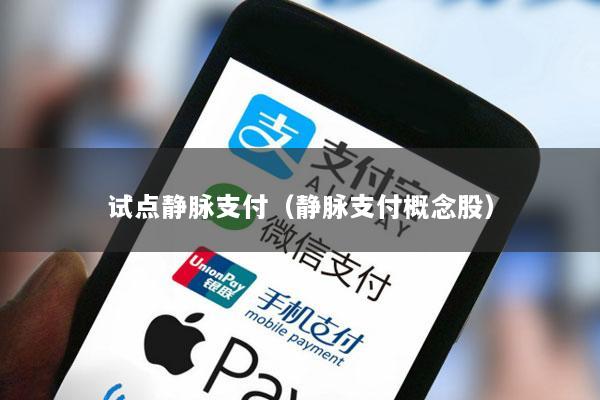 试点静脉支付(静脉支付概念股)