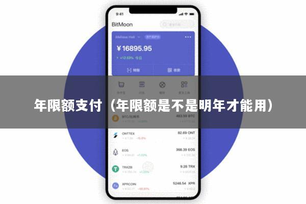 年限额支付(年限额是不是明年才能用)