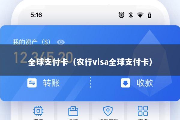 全球支付卡(农行visa全球支付卡)