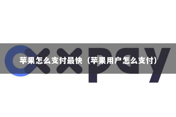 苹果怎么支付最快(苹果用户怎么支付)