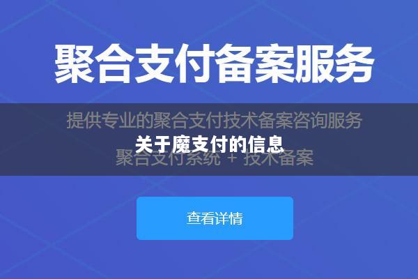 关于魔支付的信息