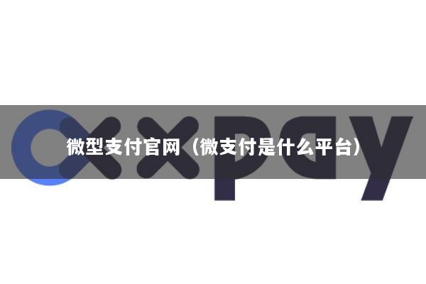 微型支付官网(微支付是什么平台)