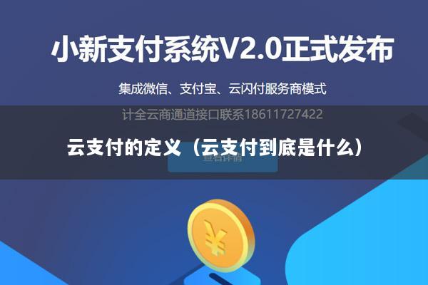 云支付的定义(云支付到底是什么)