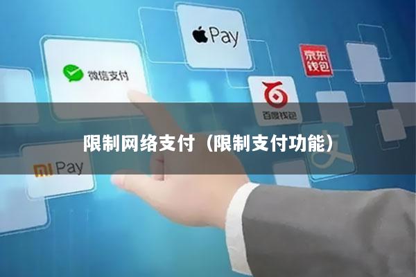 限制网络支付(限制支付功能)