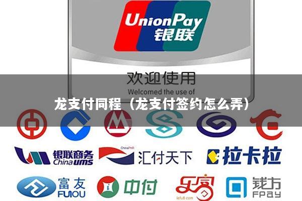 龙支付同程(龙支付签约怎么弄)