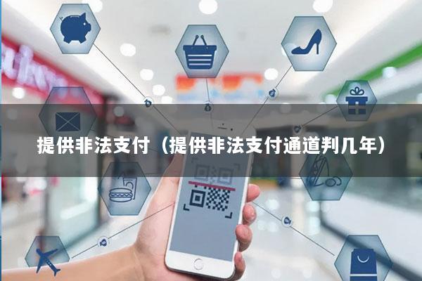 提供非法支付(提供非法支付通道判几年)