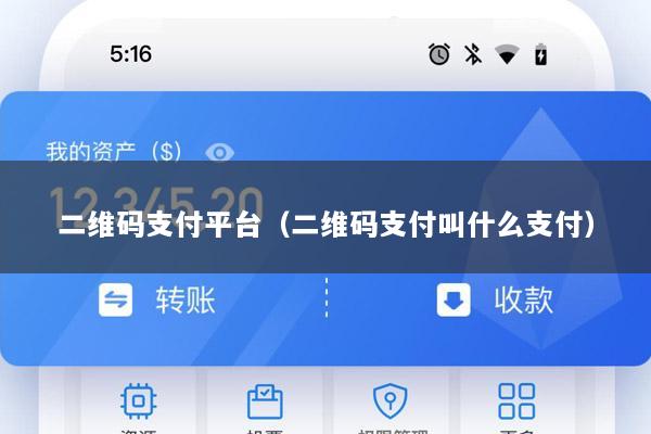 二维码支付平台(二维码支付叫什么支付)