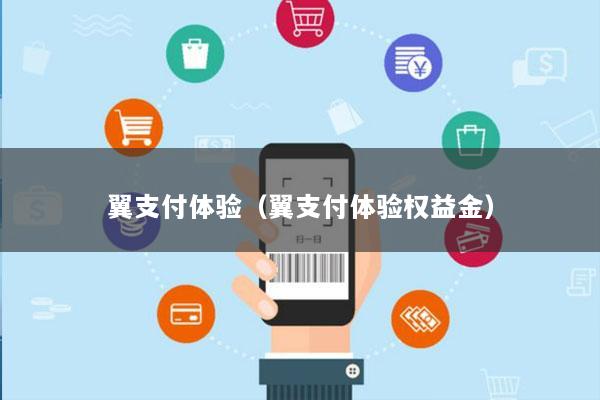 翼支付体验(翼支付体验权益金)