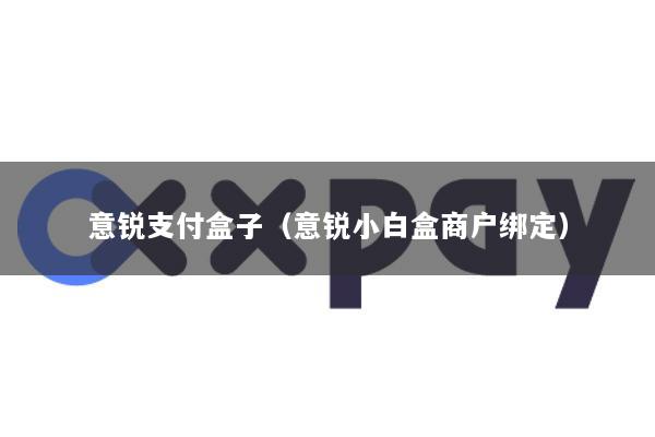 意锐支付盒子(意锐小白盒商户绑定)