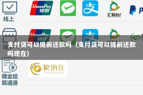 支付贷可以提前还款吗(支付贷可以提前还款吗现在)