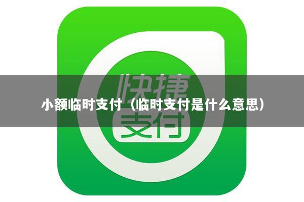 小额临时支付(临时支付是什么意思)