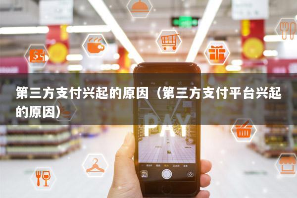 第三方支付兴起的原因(第三方支付平台兴起的原因)