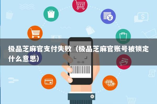 极品芝麻官支付失败(极品芝麻官账号被锁定什么意思)