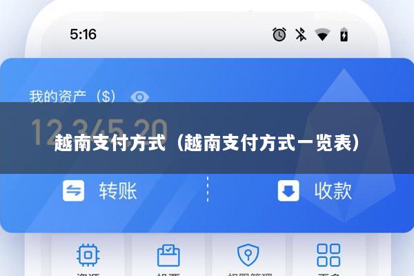 越南支付方式(越南支付方式一览表)