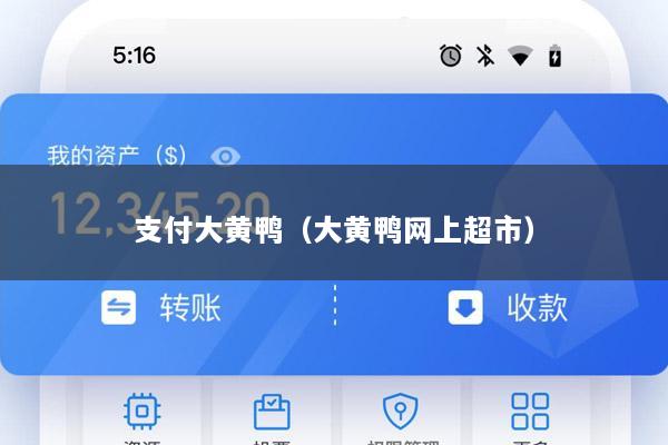 支付大黄鸭(大黄鸭网上超市)