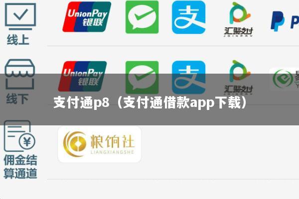 支付通p8(支付通借款app下载)